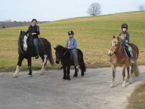 Bild 027